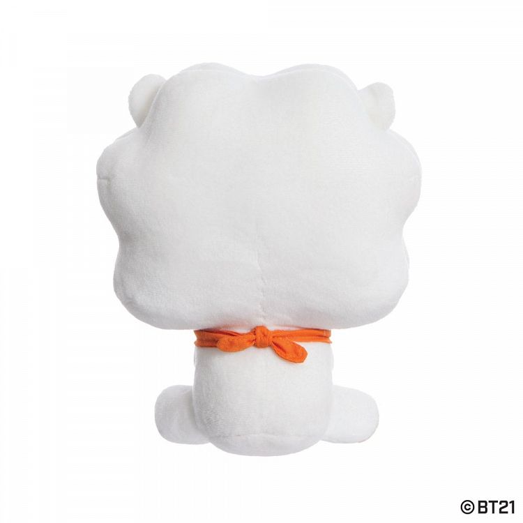 Small Soft Toy in Gift Packaging BT21 Baby RJ 20cm