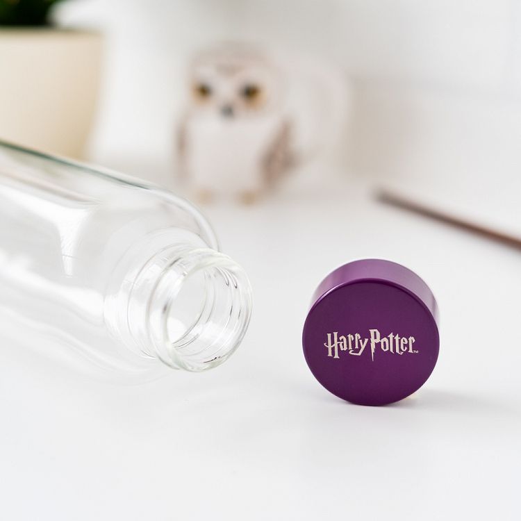 Glass Water Bottle 500ml HARRY POTTER Hogwarts