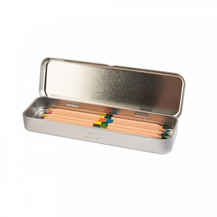 Pencil case metallic with  Coloured pencils BOTANICAL Cacti by Kokonote