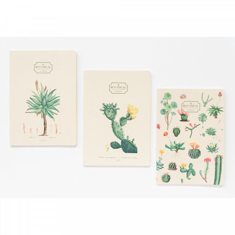 Pack of 3 Notebooks Α5/15X21 BOTANICAL Cacti by Kokonote