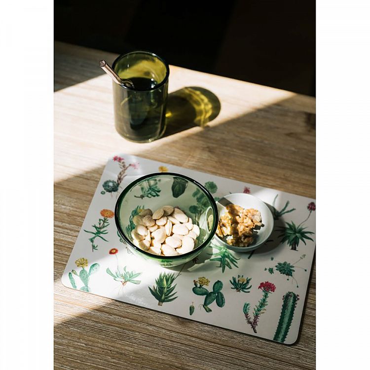 Set of 4 table mats BOTANICAL Cacti by Kokonote