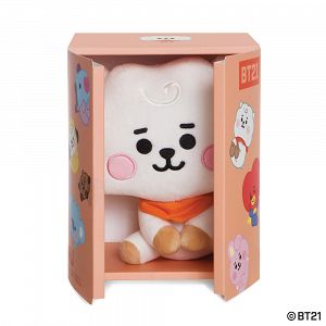 Small Soft Toy in Gift Packaging BT21 Baby RJ 20cm