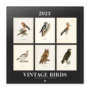 Wall Calendar 2023 30X30cm VINTAGE BIRDS