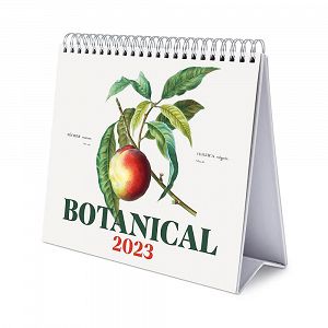 Deluxe Desk Calendar 2023 BOTANICAL