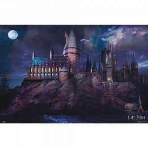 Poster 61Χ91.5cm HARRY POTTER Hogwarts