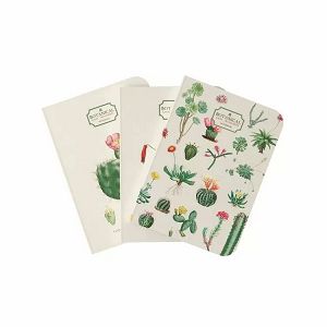 Pack of 3 Notebooks Α6/10X15 BOTANICAL Cacti by Kokonote