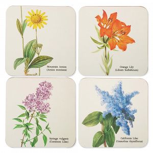 Set of 4 coasters BOTANICAL Wild Flowers by Kokonote