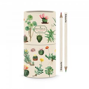 Tube Pencil case with 18 Coloured pencils BOTANICAL Cacti by Kokonote