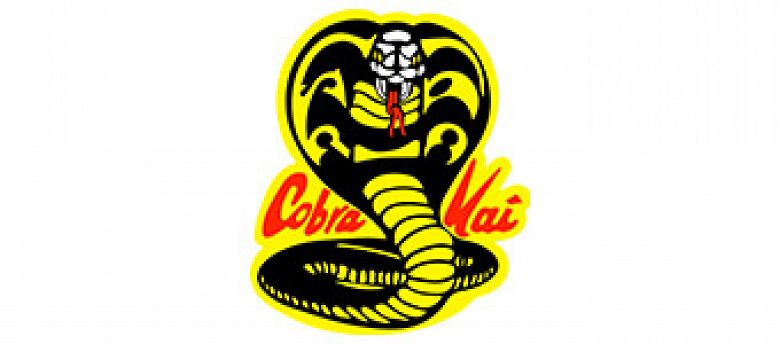 Συλλογή Cobra Kai