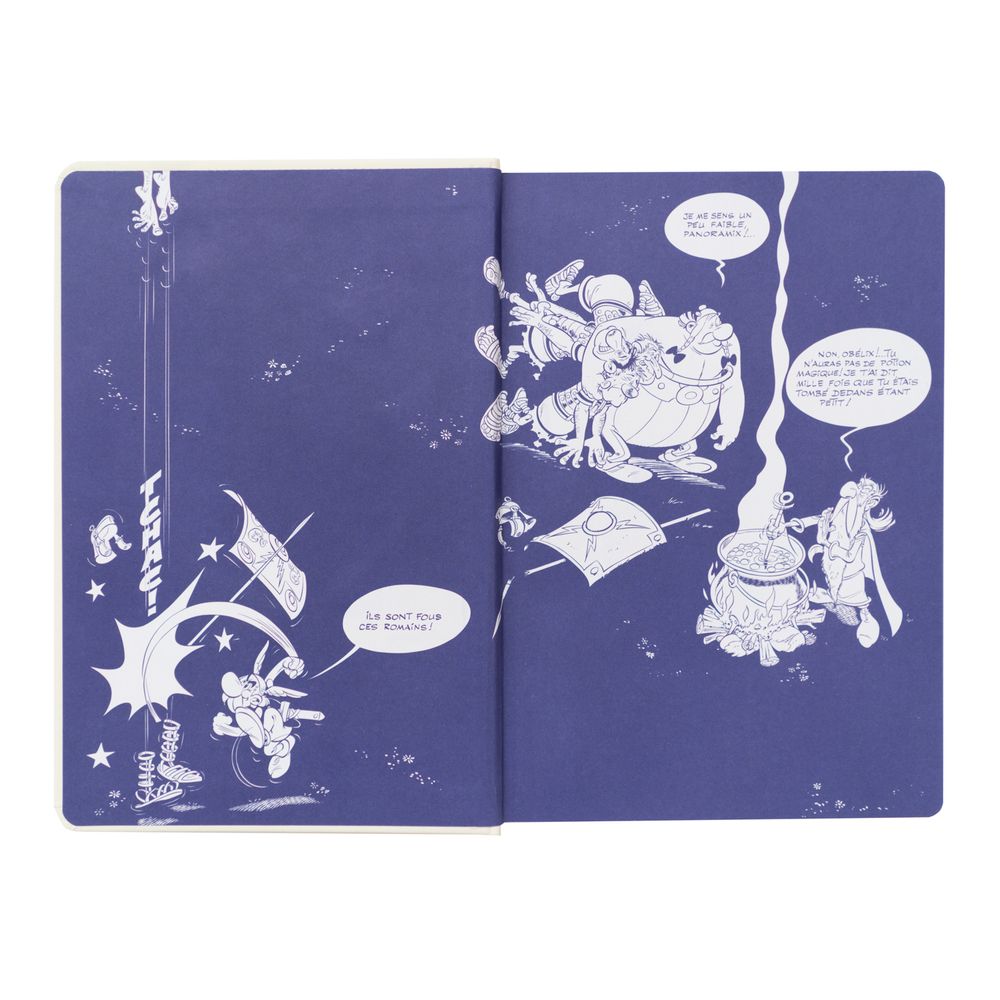 Premium Notebook Α5/15X21 cm ASTERIX Magic Potion
