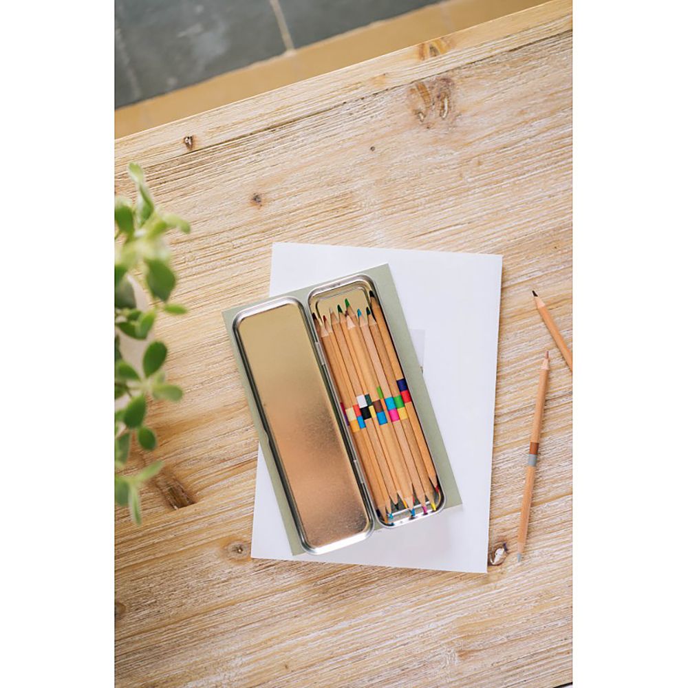 Pencil case metallic with  Coloured pencils BOTANICAL Cacti by Kokonote