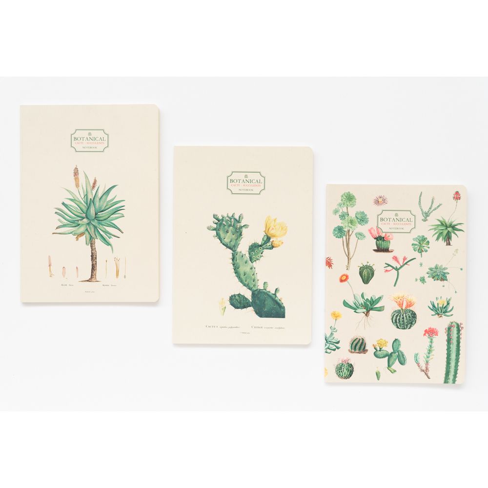 Pack of 3 Notebooks Α5/15X21 BOTANICAL Cacti by Kokonote